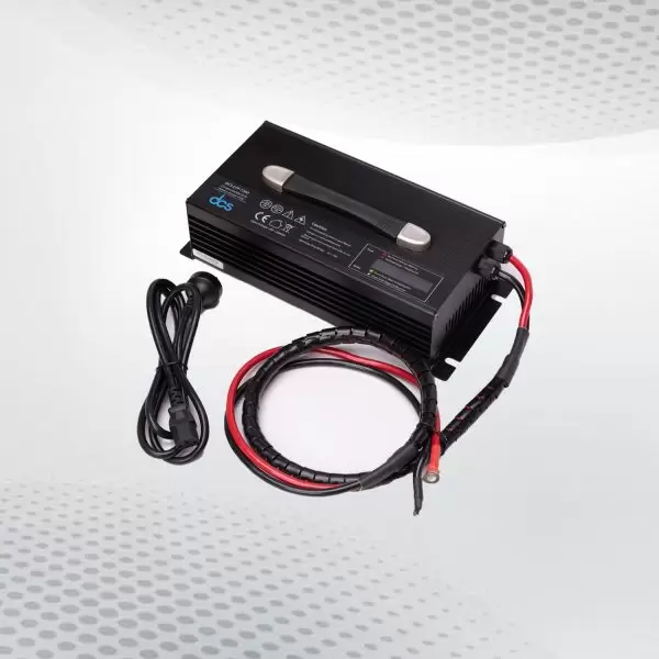 LiFePO4 battery chargers