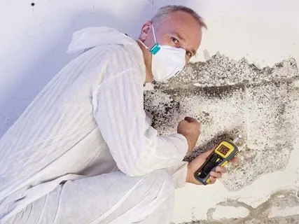 Mould Inspection Report Sydney